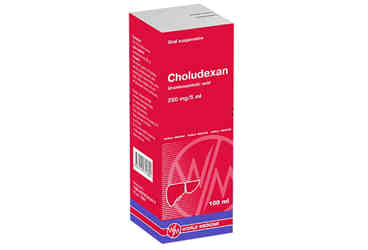 CHOLUDEXAN 250 MG 100 KAPSUL